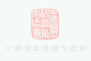 玉湖冷鏈（廣州）交易中心盛大開(kāi)業(yè)